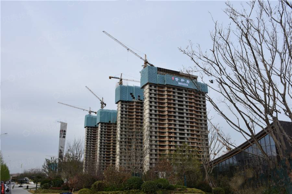 建业世和府