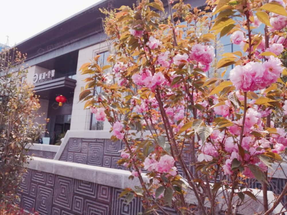 枫湖壹號实景图