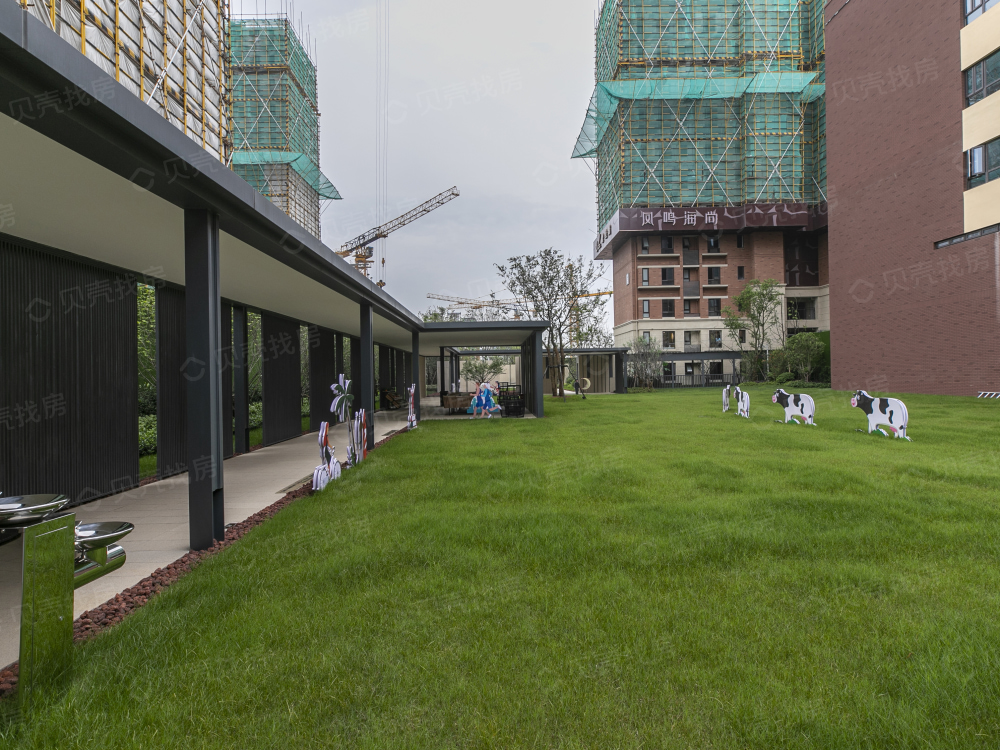 凤鸣海尚实景图