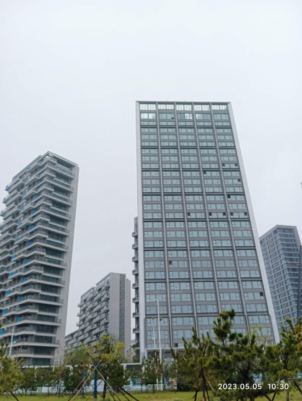 中海金线鼎实景图