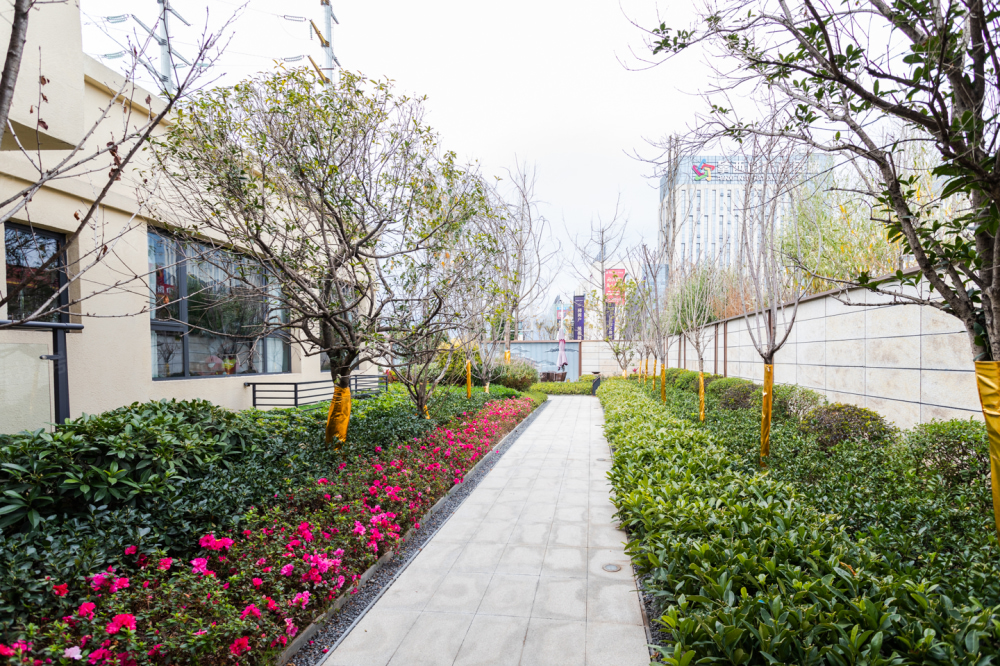 交大·紫悦府相册