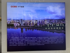 大华CCBD环球世界城项目现场