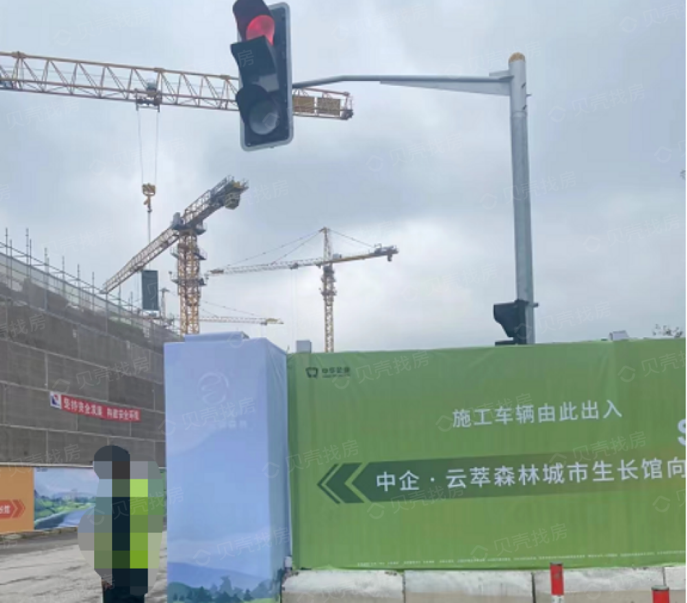 中企云萃森林实景图