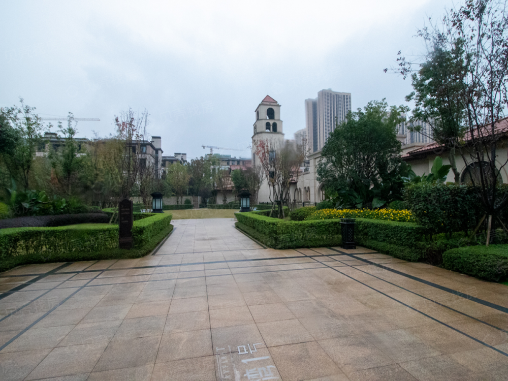 联发龙洲湾1号相册