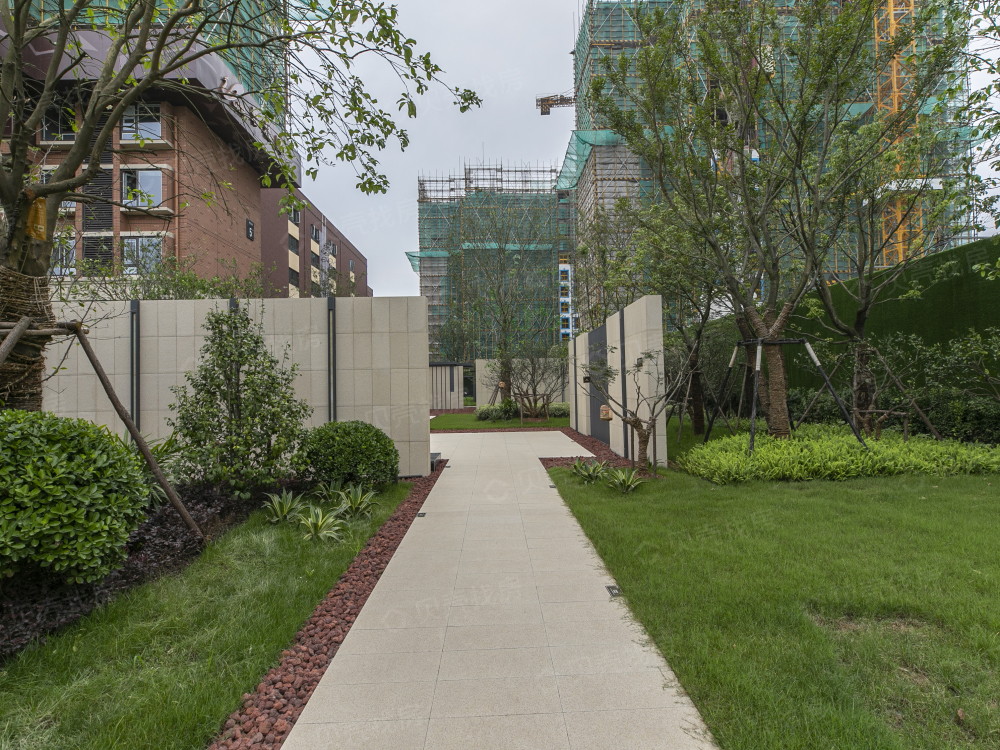 凤鸣海尚实景图