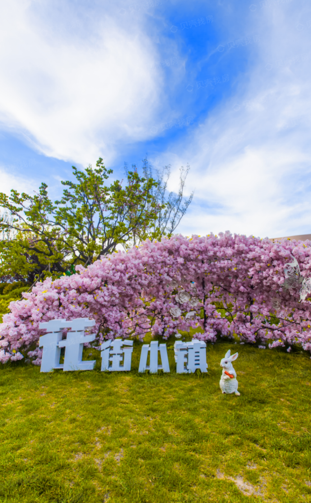 花街小镇维拉相册