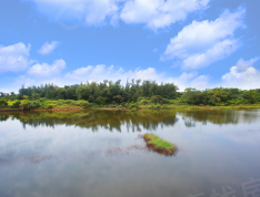 蓝湖海韵实景图