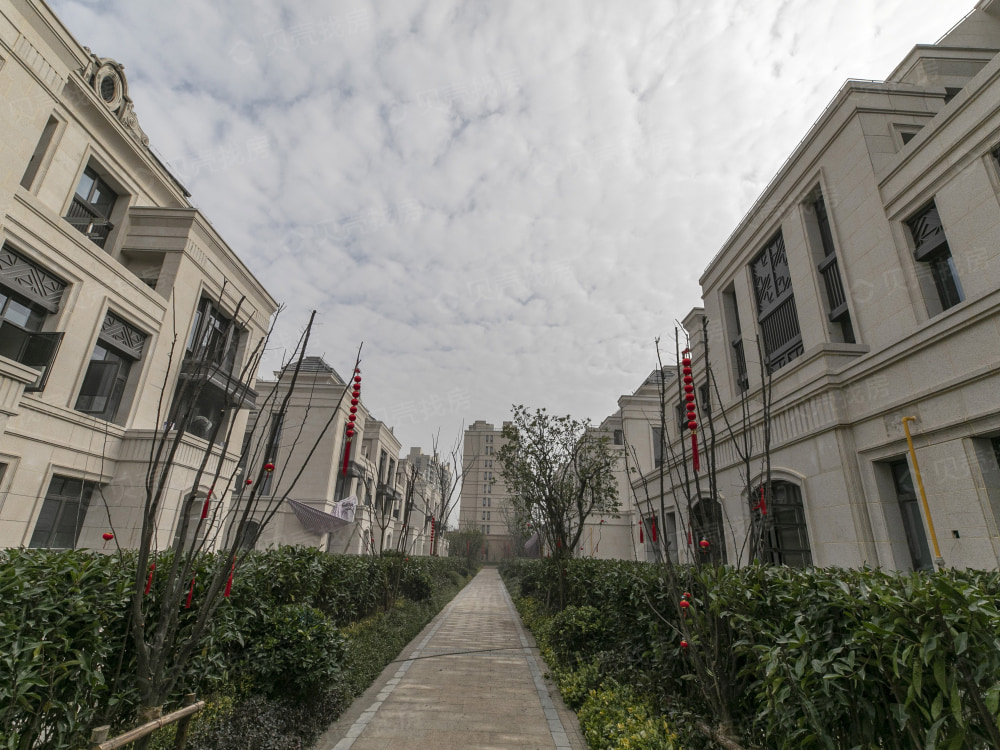 颐盛御中环相册