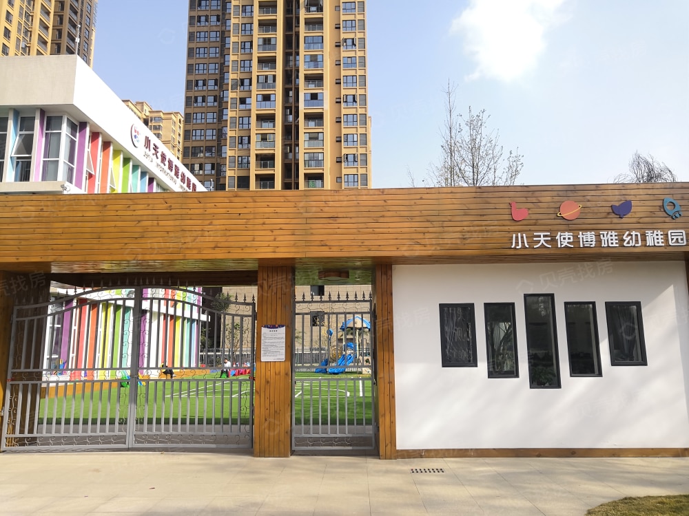 幸福东方白桦林相册