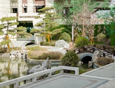 京师城市森林花园实景图