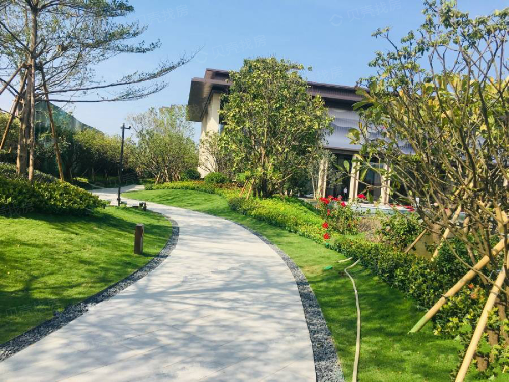 新城·金樾江南相册