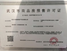 武汉大悦城预售许可证