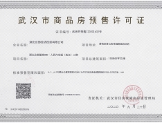 人民武汉国际汽车城预售许可证