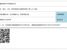 城投联投江南岸预售许可证