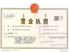 万达·万尚城开发商营业执照