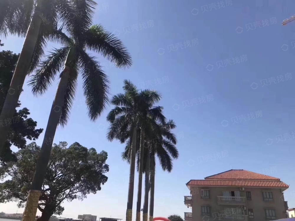 东江逸珑湾实景图