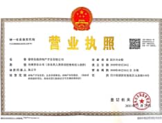 金科集美公馆开发商营业执照