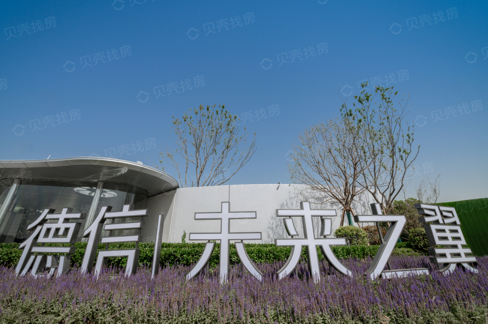 德信未来之翼相册