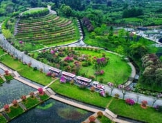 花屿岛澜庭实景图