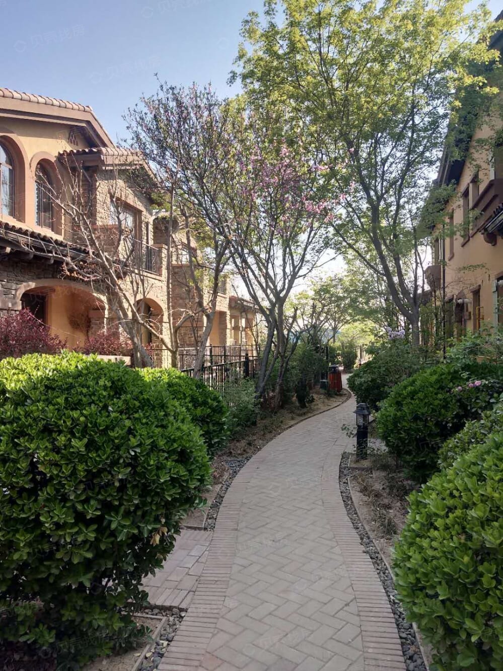 东星卡纳溪谷相册