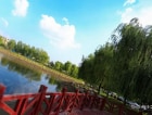 碧桂园云和天境实景图