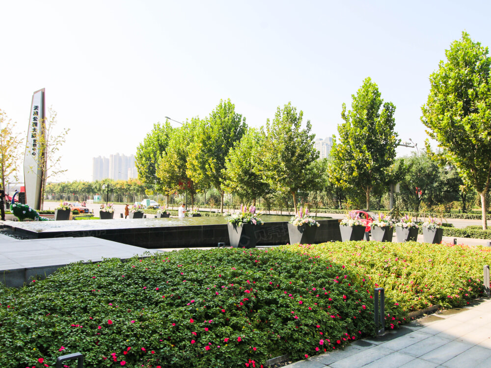 天鸿公园大道相册