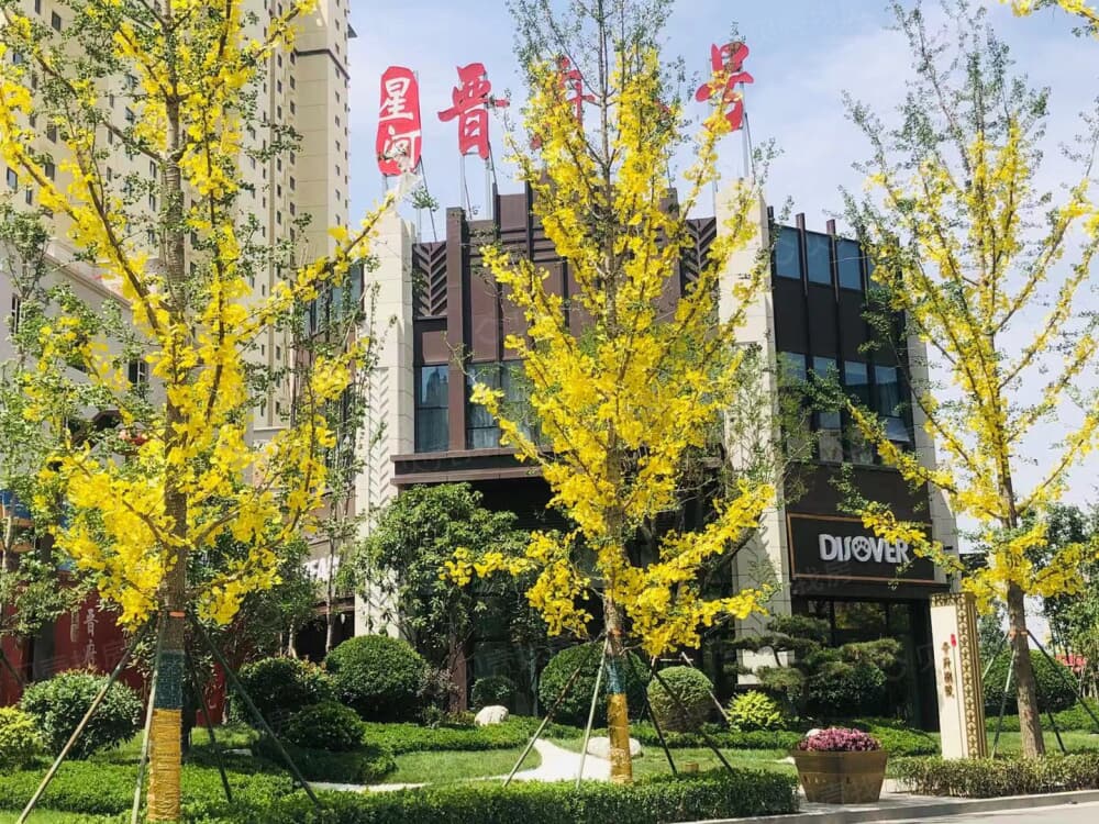 【星河晋府八号_保定星河晋府八号楼盘】房价,户型,开盘时间详情-保定