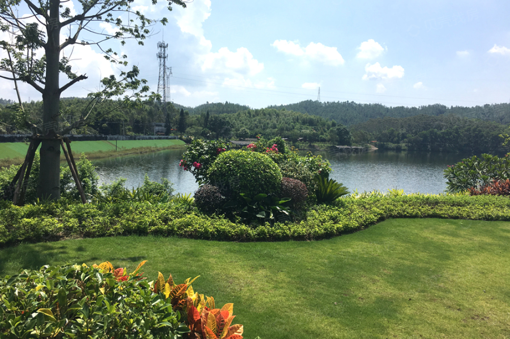 阳光城丽景湾相册