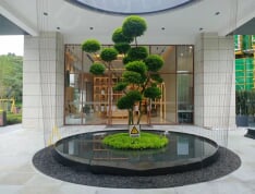 云上花居项目现场
