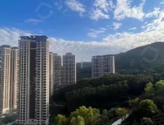 保利和悦江山实景图