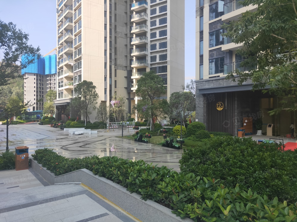 碧桂园中洲云麓花园