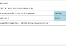 万科保利理想城市预售许可证