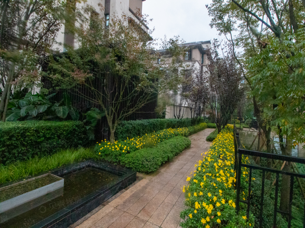 联发龙洲湾1号相册