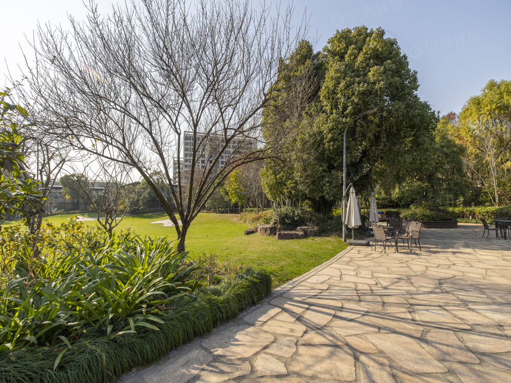 黄浦湾·玉象府相册