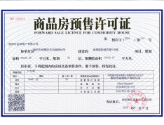 金湘国际城预售许可证