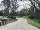 三湘印象森林海尚城实景图