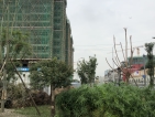 中粮武侯瑞府实景图
