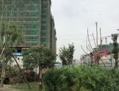中粮武侯瑞府实景图