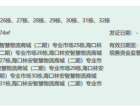 林安国际商贸城预售许可证