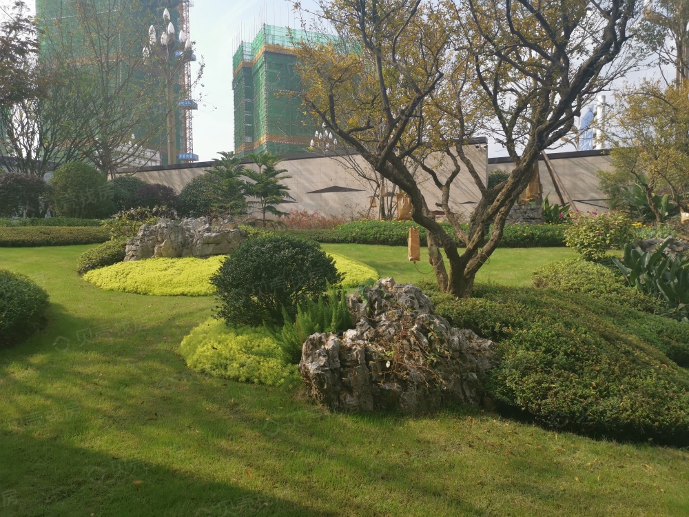 鸿通公园1988天著相册