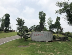 枫香桂园实景图