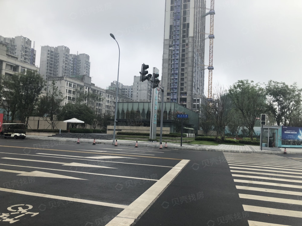 城投置地梧桐栖实景图