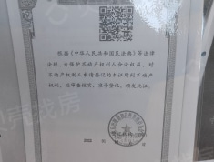 泰禾金府大院项目现场