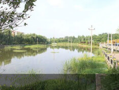 兴忠南湖御景实景图