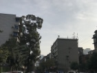保利时代实景图