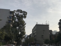 保利时代实景图