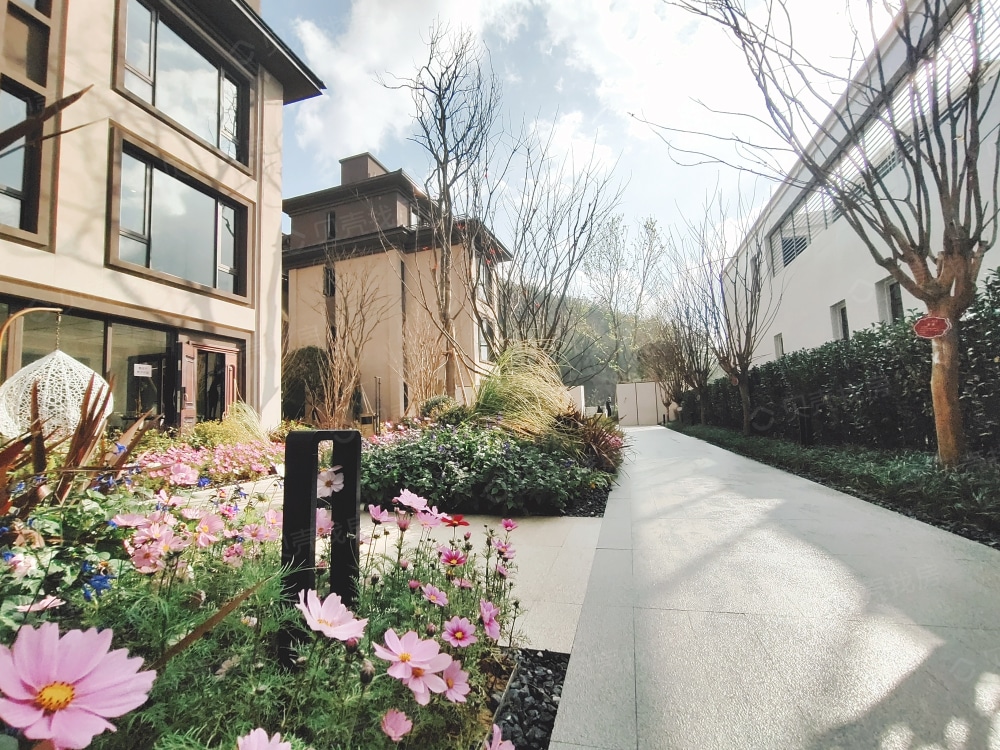 中南菩悦·春山居相册