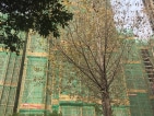 朗诗未来街区实景图