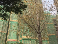 朗诗未来街区实景图