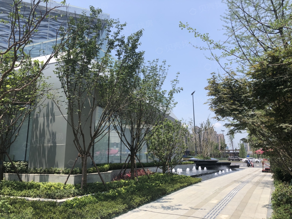 蓝润天府mic相册